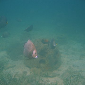 img_0767 img_0767