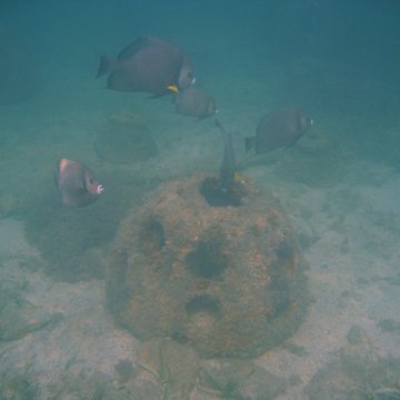 img_0768 img_0768