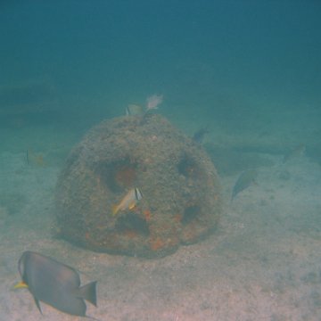 img_0769 img_0769