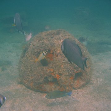 img_0770 img_0770