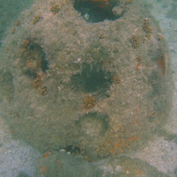img_0773 img_0773