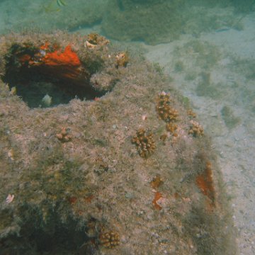 img_0774 img_0774