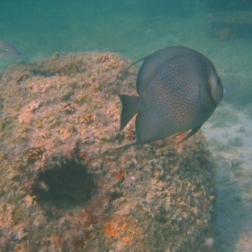 img_0779 img_0779