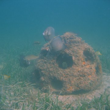 img_0784 img_0784
