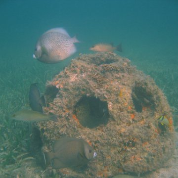 img_0785 img_0785