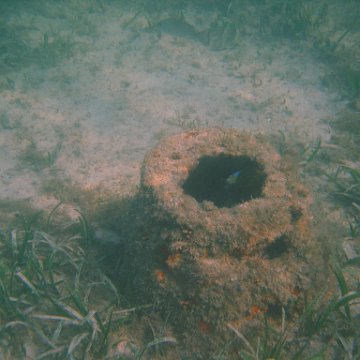 img_0789 img_0789