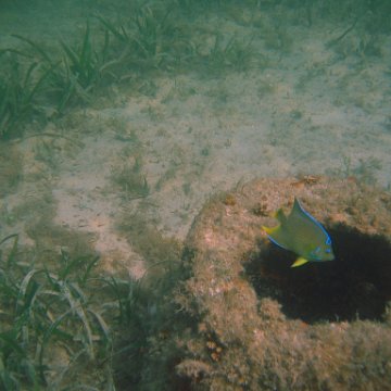 img_0791 img_0791