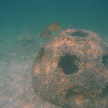 img_0796 img_0796