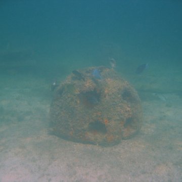 img_0797 img_0797