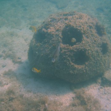img_0804 img_0804