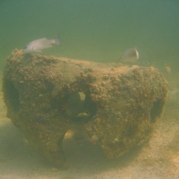 img_0807 img_0807