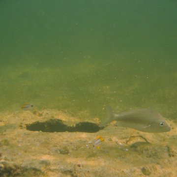 img_0808 img_0808