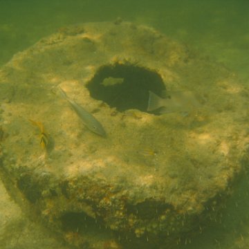 img_0809 img_0809