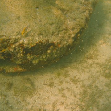 img_0810 img_0810