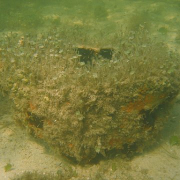 img_0813 img_0813