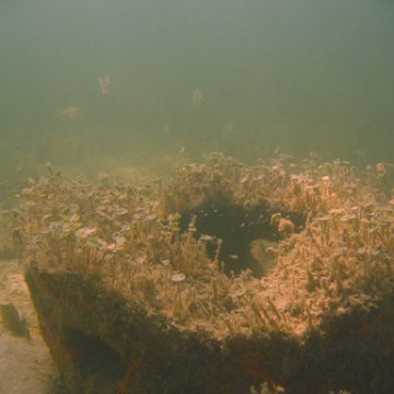 img_0816 img_0816