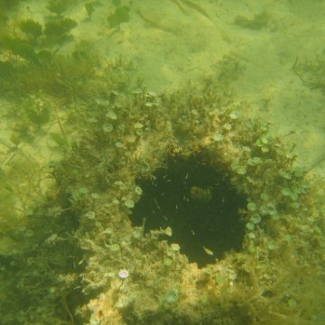 img_0817 img_0817