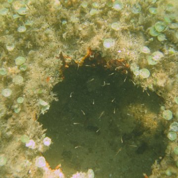 img_0818 img_0818