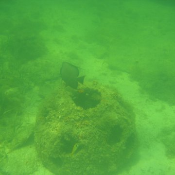 img_0863 img_0863