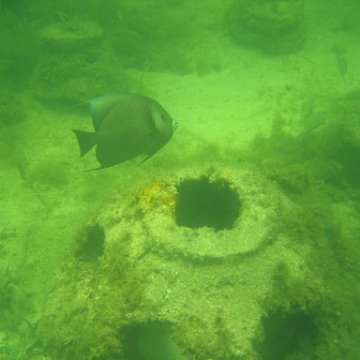 img_0866 img_0866