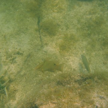 img_0867 img_0867