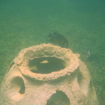 img_0870 img_0870