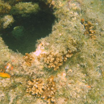 img_0873 img_0873