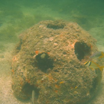 img_0880 img_0880