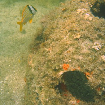 img_0882 img_0882