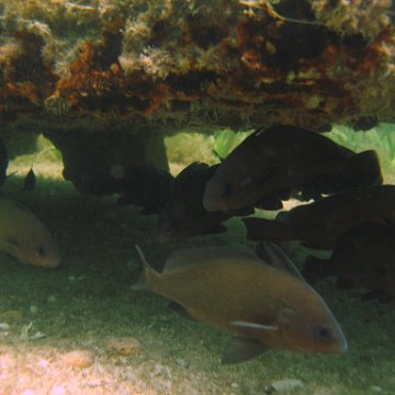 img_0887 img_0887