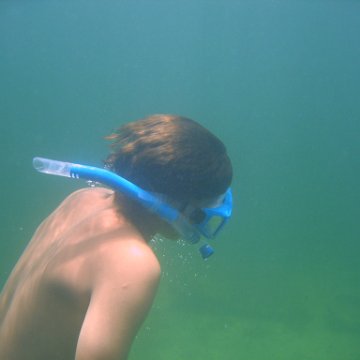 img_0889 img_0889