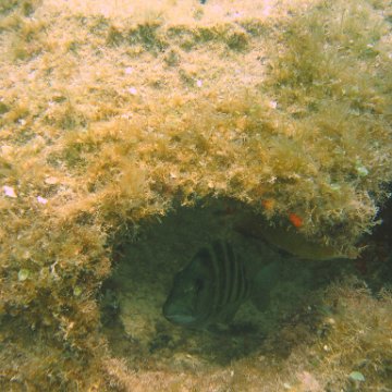 img_0894 img_0894