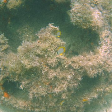 img_0899 img_0899