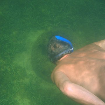 img_0900 img_0900