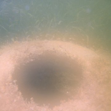 img_0910 img_0910