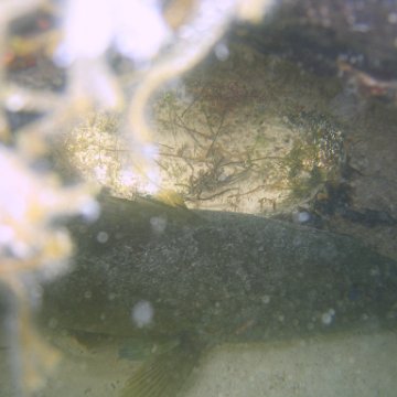 img_0921 img_0921