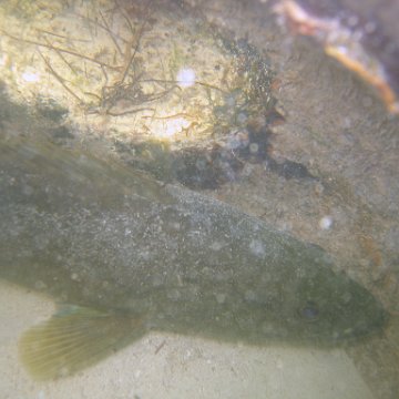img_0922 img_0922