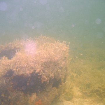 img_0930 img_0930