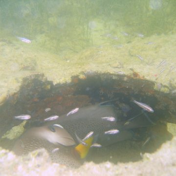 img_0938 img_0938
