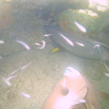 img_0939 img_0939