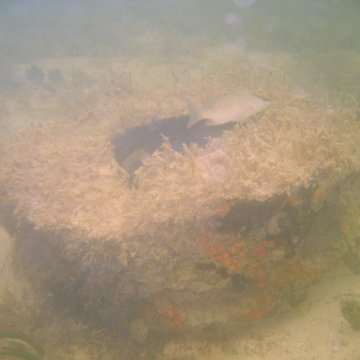 img_0944 img_0944