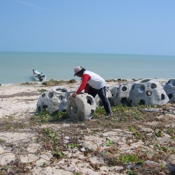 img_0559 img_0559