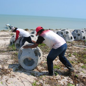 img_0560 img_0560