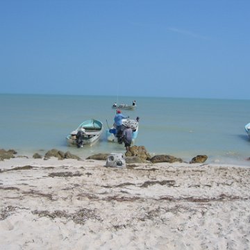 img_0561 img_0561