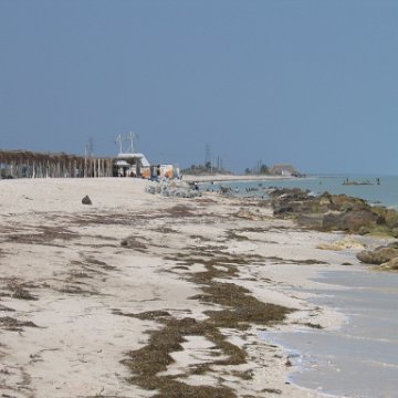 img_0564 img_0564