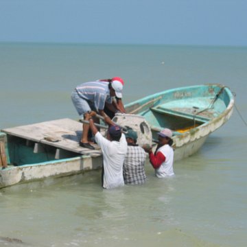 img_0571 img_0571
