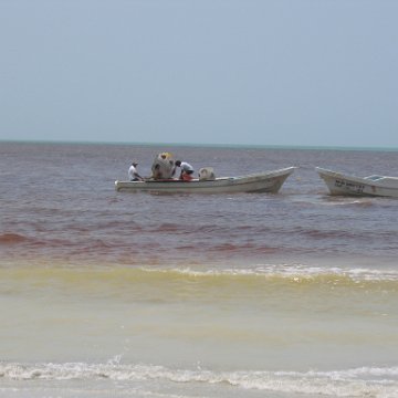 img_1034 img_1034