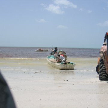img_1036 img_1036
