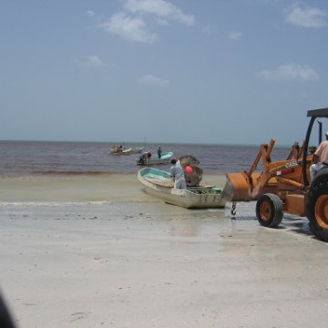 img_1037 img_1037