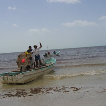 img_1047 img_1047